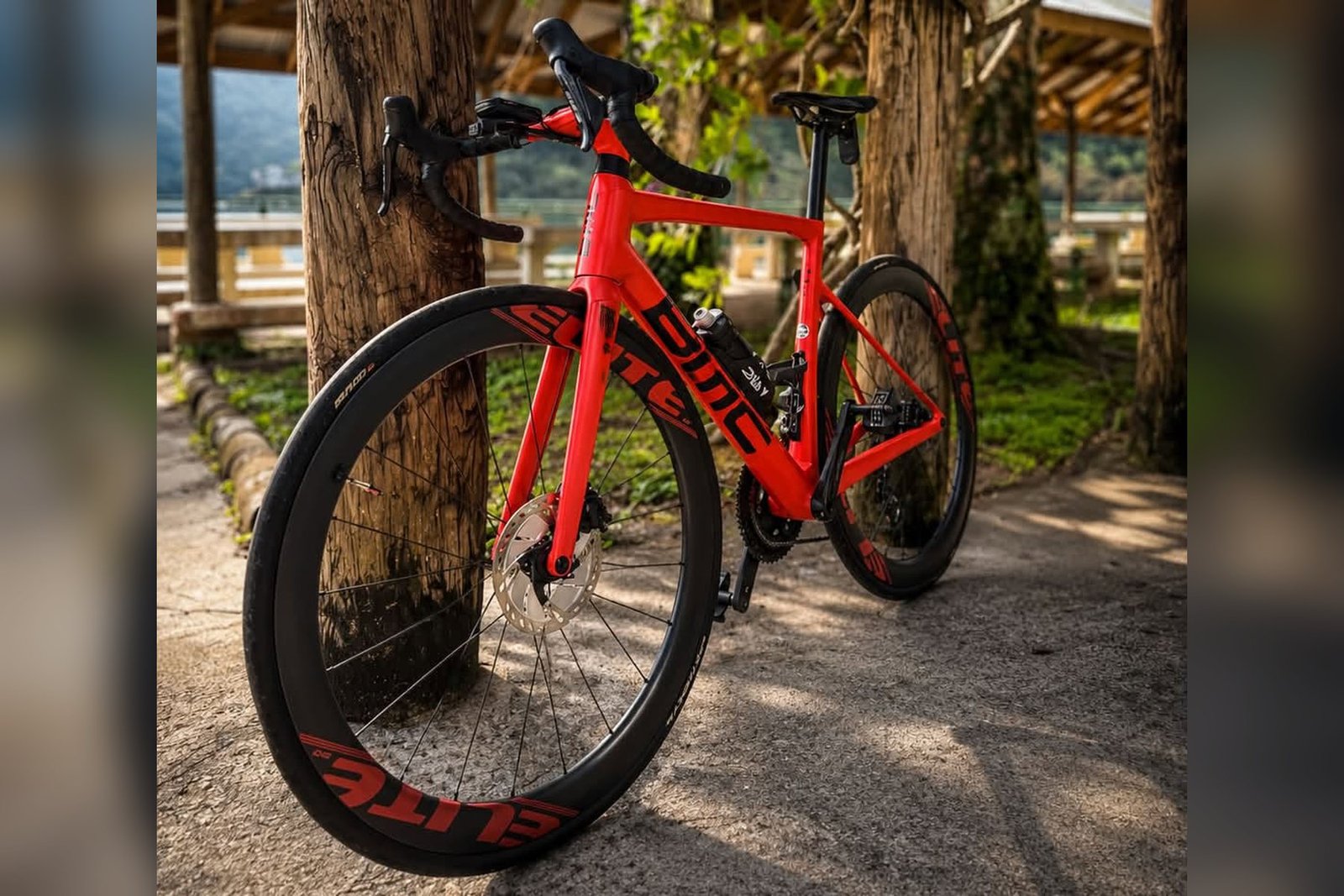 A red carbon road bike with deep-section wheels and disc brakes, resting against a tree
