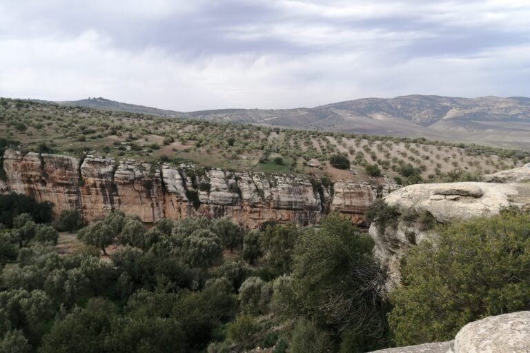 Limestone cliffs and terraced olive groves in the hills of Moulay Idriss Zerhoun