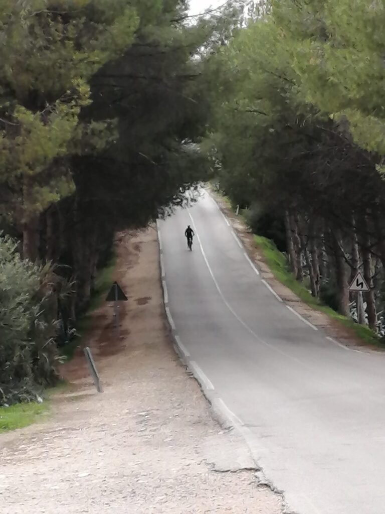 A lone cyclist climbing a steep tree-lined road, with a gradient warning sign at the roadside